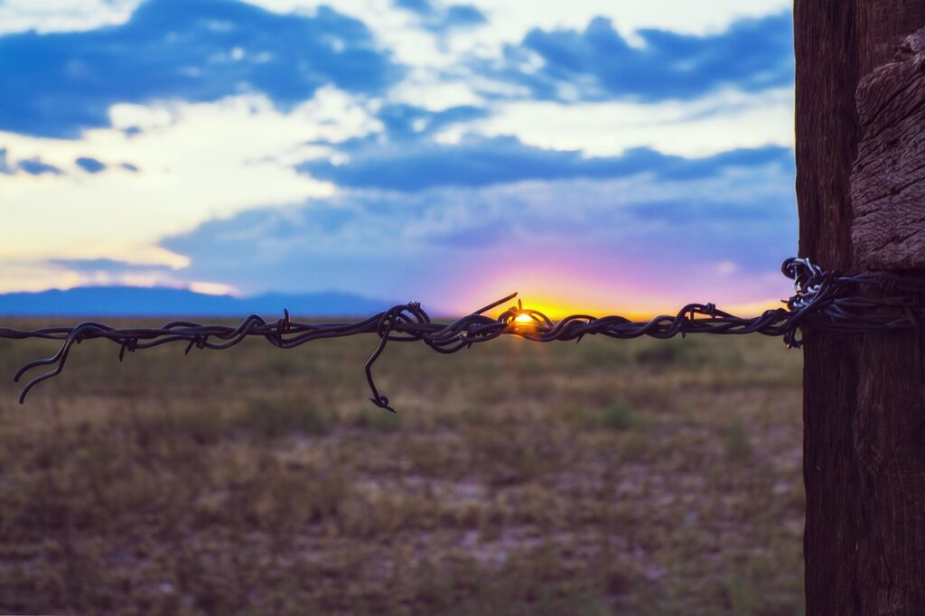 barbed wire fence, sunset, western, field, fence, landscape, wire, sun, dawn, sunrise, blue sky, mood, nature, evening, twilight, dusk, west, wild, wood, blue, sky, outdoors, ranch, horse ranch, dude ranch, colorado, ranch, ranch, ranch, dude ranch, dude ranch, dude ranch, dude ranch, dude ranch