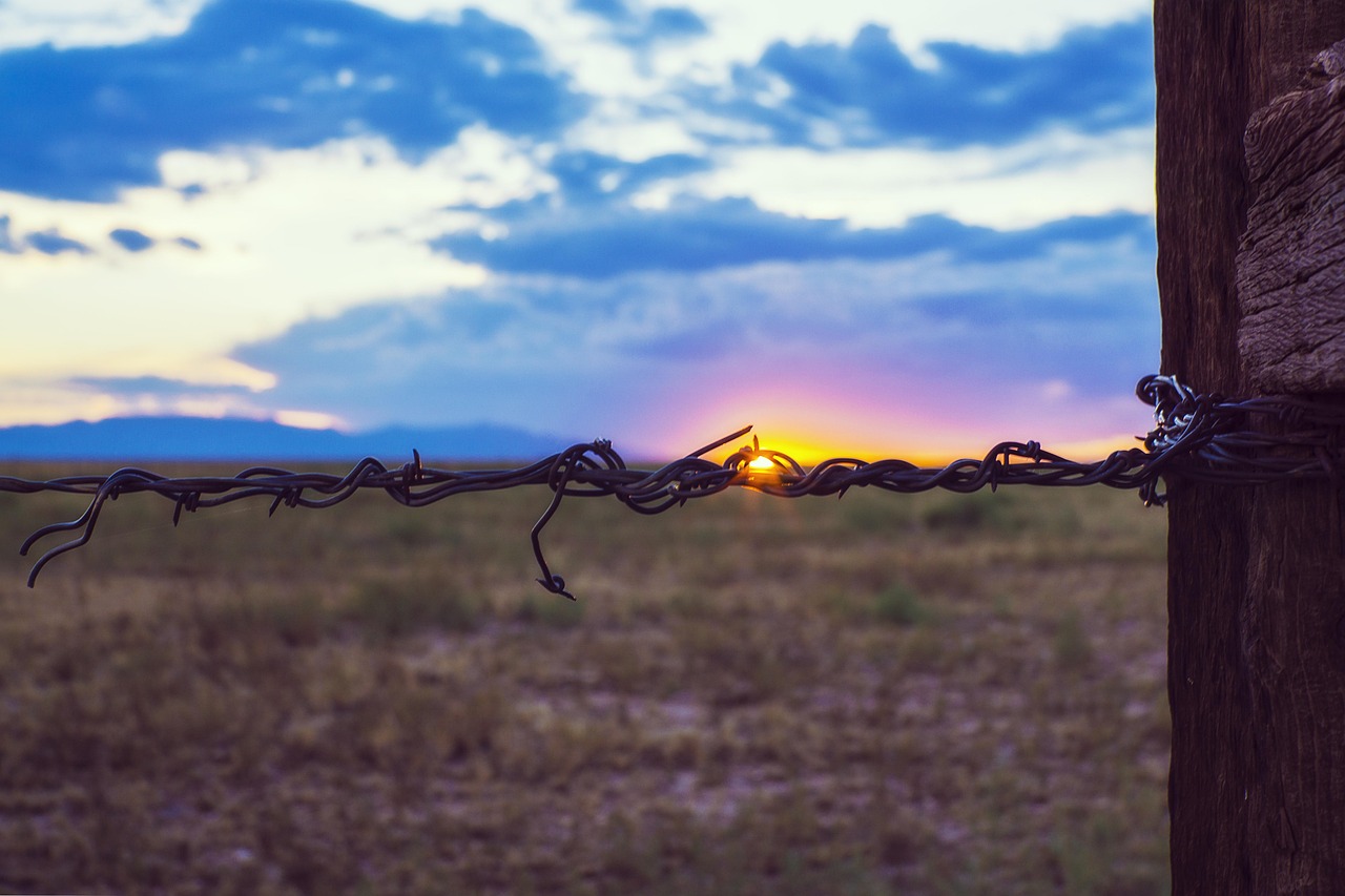 barbed wire fence, sunset, western, field, fence, landscape, wire, sun, dawn, sunrise, blue sky, mood, nature, evening, twilight, dusk, west, wild, wood, blue, sky, outdoors, ranch, horse ranch, dude ranch, colorado, ranch, ranch, ranch, dude ranch, dude ranch, dude ranch, dude ranch, dude ranch