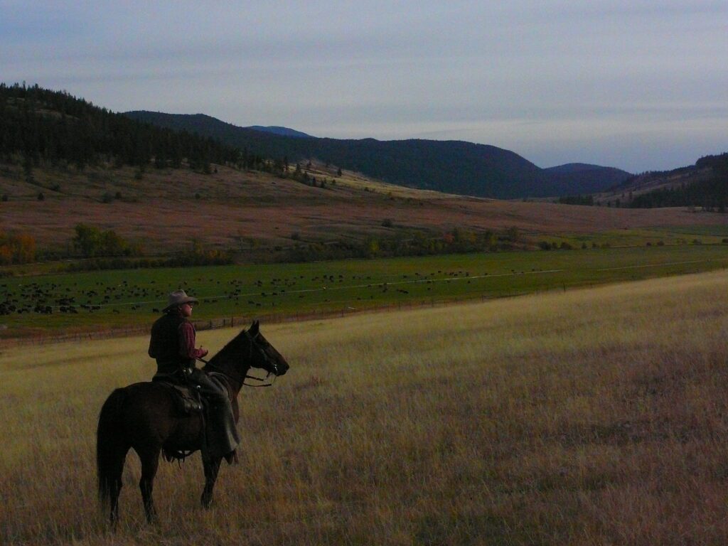 Devick on ranch horse